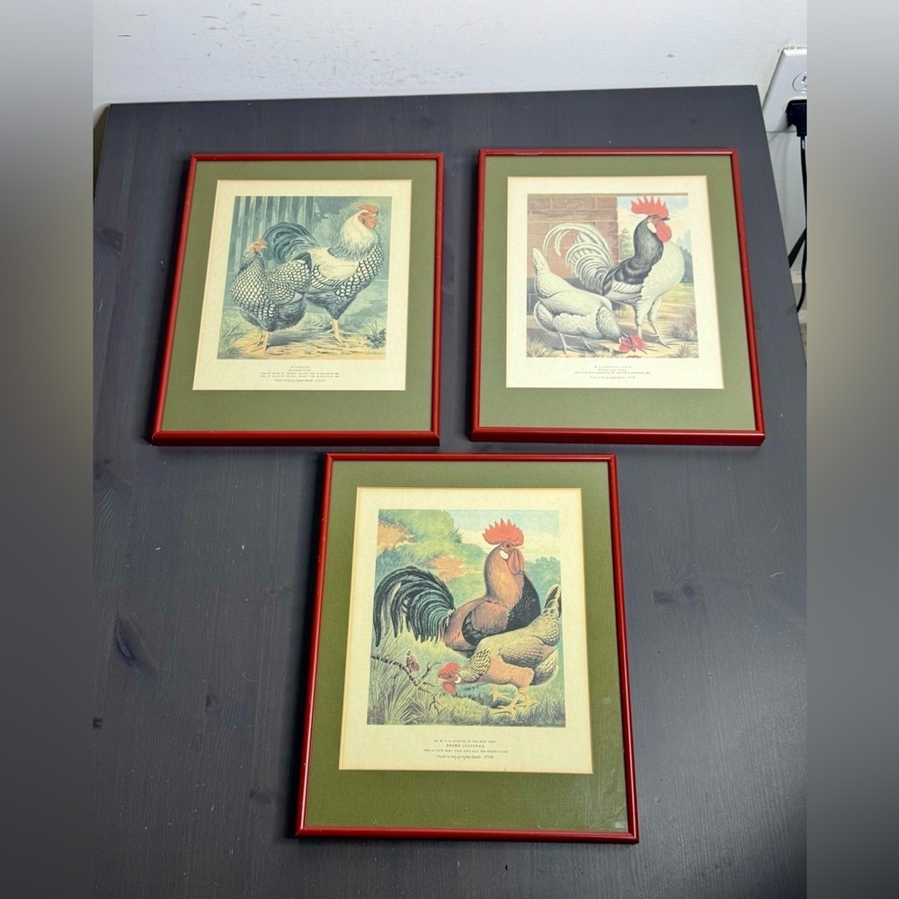 Vintage Pair of Roosters Hens Prints Dorkings Grafiche Tassotti Farmhouse